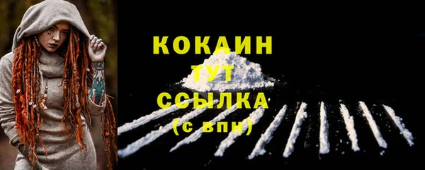 стафф Пересвет