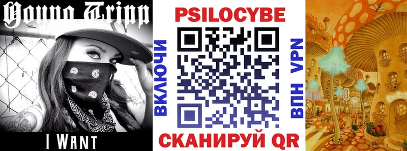 Галлюциногенные грибы прущие грибы  Починок 