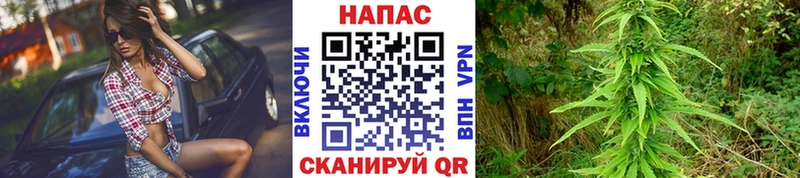 Бошки марихуана THC 21%  mega рабочий сайт  Починок  что такое  